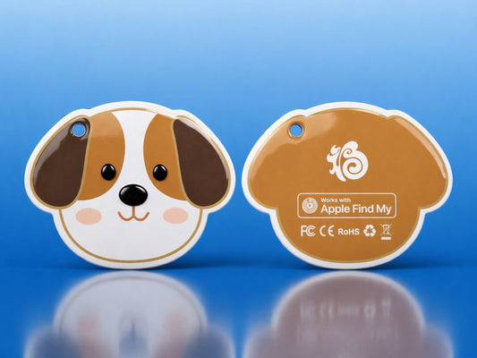 Smart Gift Tag Tracker